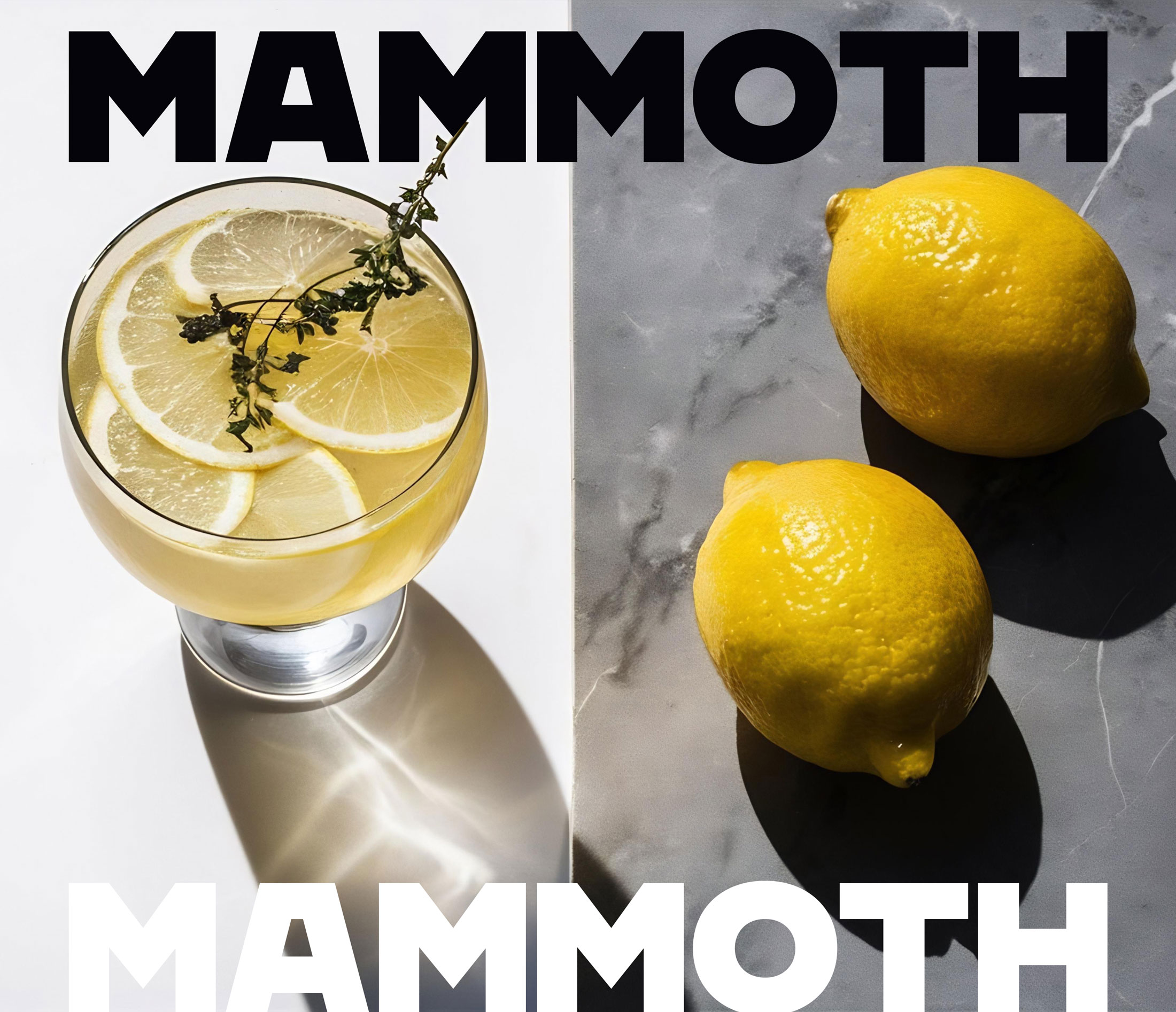 Mammoth_Flavours_07-new