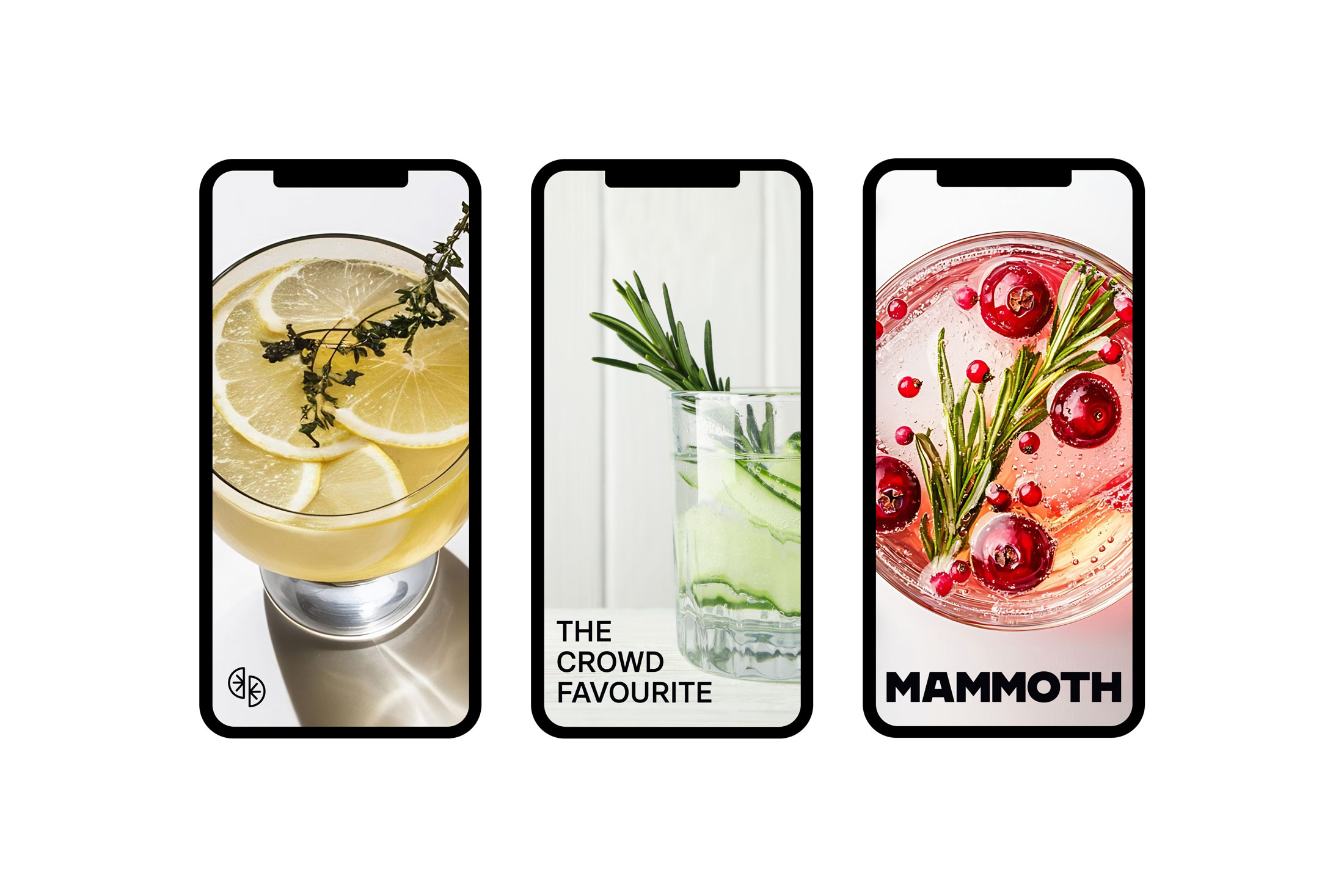 Mammoth_Flavours_10