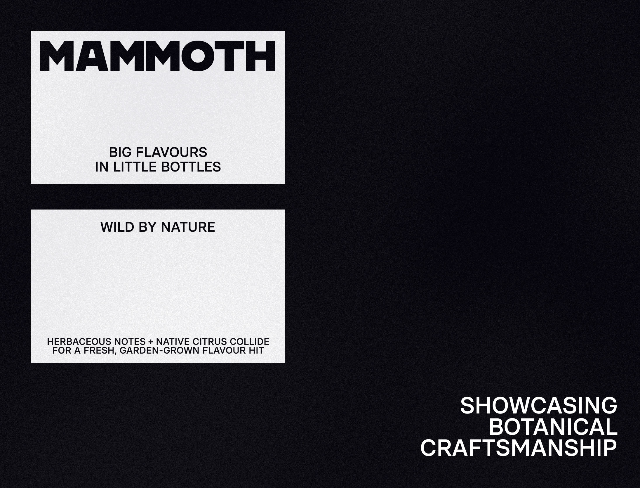 Mammoth_Flavours_12