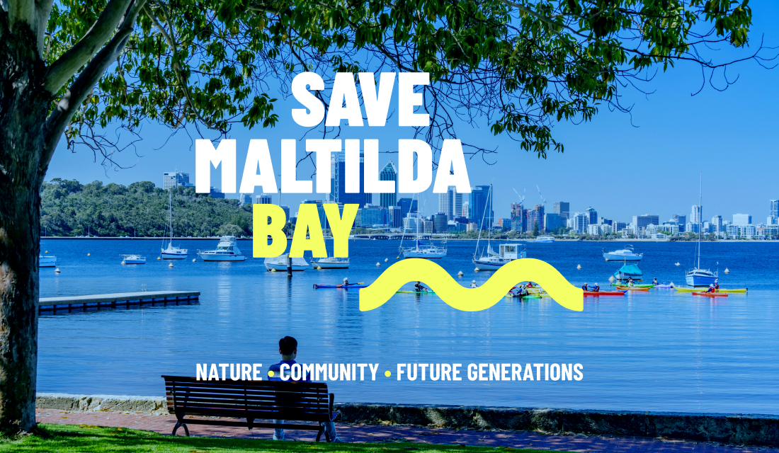 Save Matilda Bay — A community-led campaign built to mobilise action ...